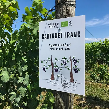 Borgo Dei Sapori-vini Bio Irene Cencig * Cividale del Friuli