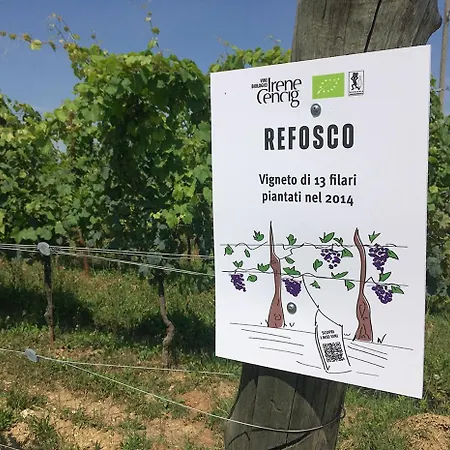 Borgo Dei Sapori-vini Bio Irene Cencig Çiftlik konaklama Cividale del Friuli