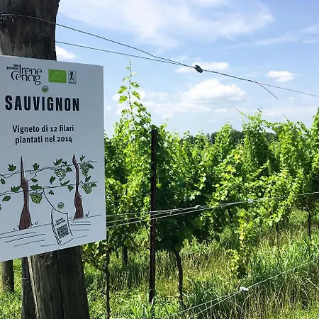 Borgo Dei Sapori-vini Bio Irene Cencig Cividale del Friuli