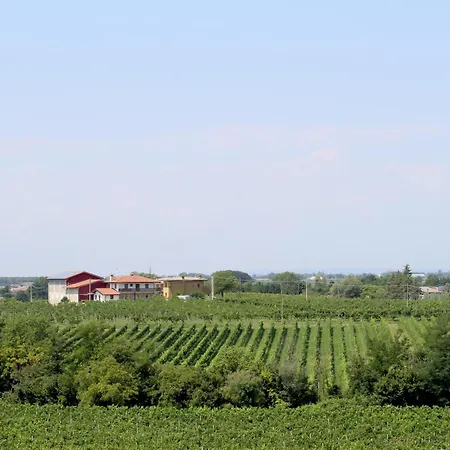 Borgo Dei Sapori-vini Bio Irene Cencig