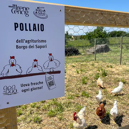 Çiftlik konaklama Borgo Dei Sapori-vini Bio Irene Cencig *
